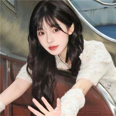 梅花档案